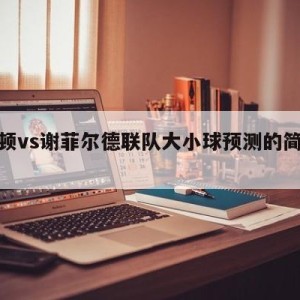 布莱顿vs谢菲尔德联队大小球预测的简单介绍